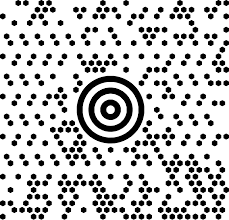 Maxicode barcode symbology